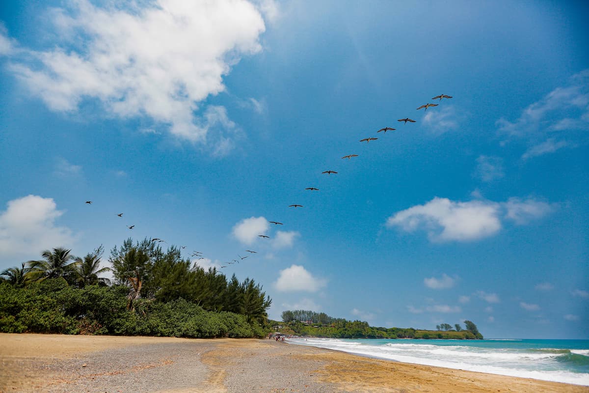 Cover Image for Discover the natural wonders of Veracruz Tuxtla Region