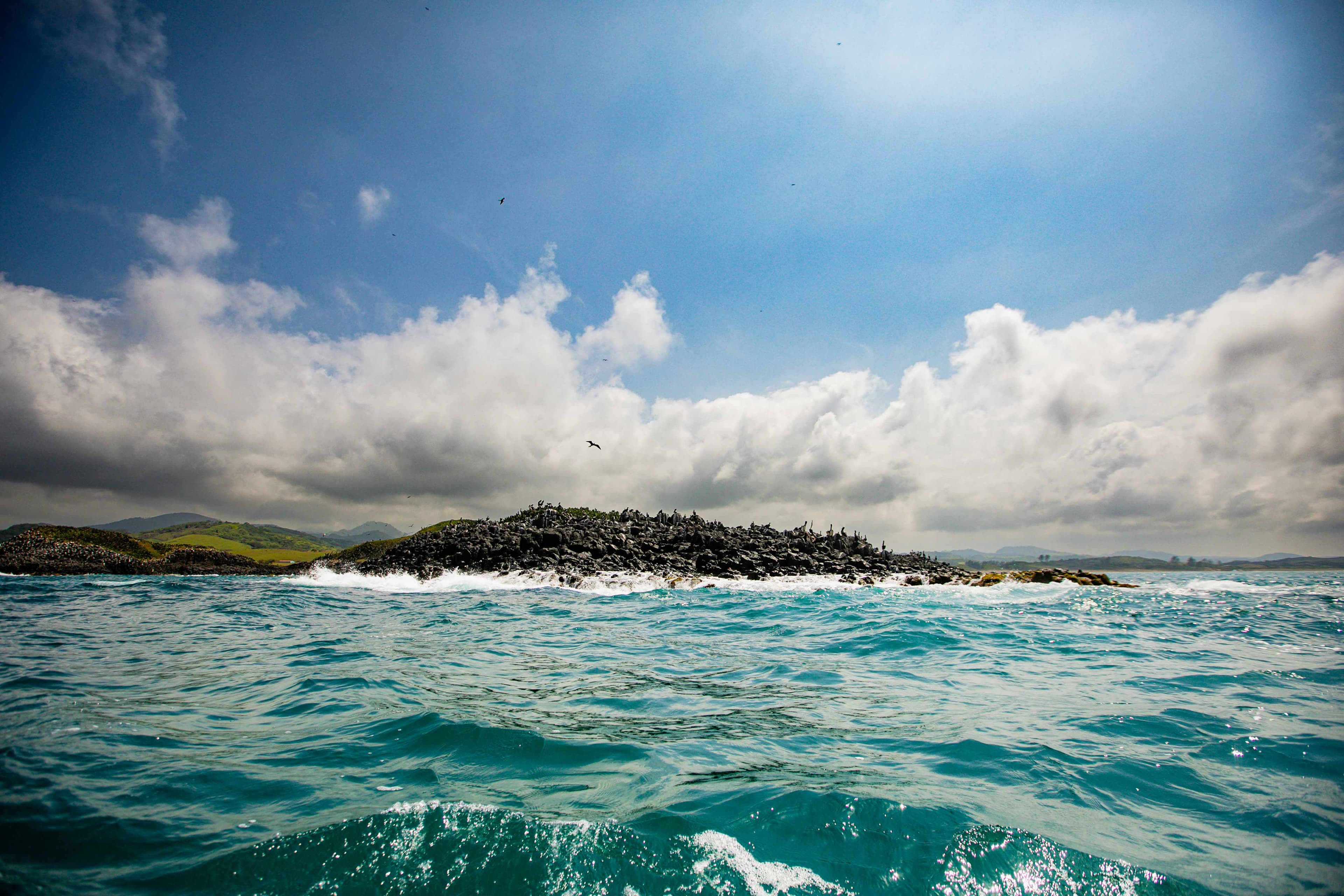 Reconnect with Nature: Unwind and Rejuvenate - Image 2