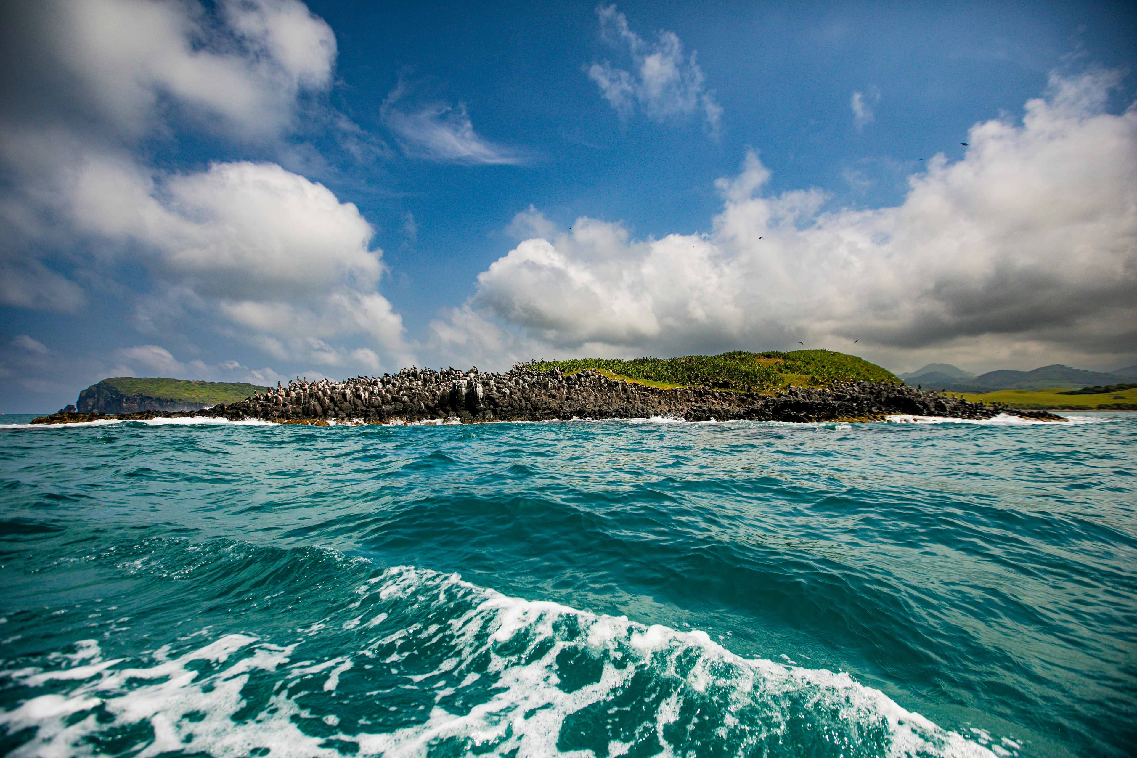 Reconnect with Nature: Unwind and Rejuvenate - Image 3