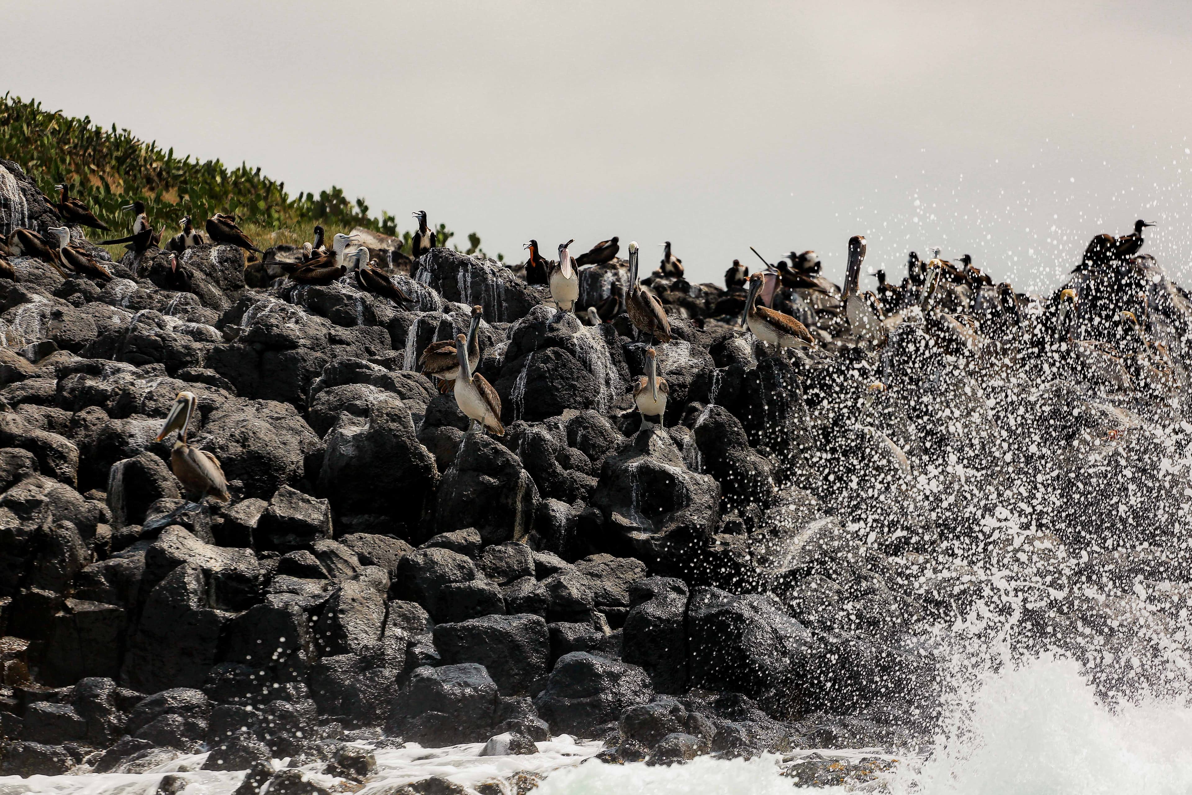 Reconnect with Nature: Unwind and Rejuvenate - Image 7