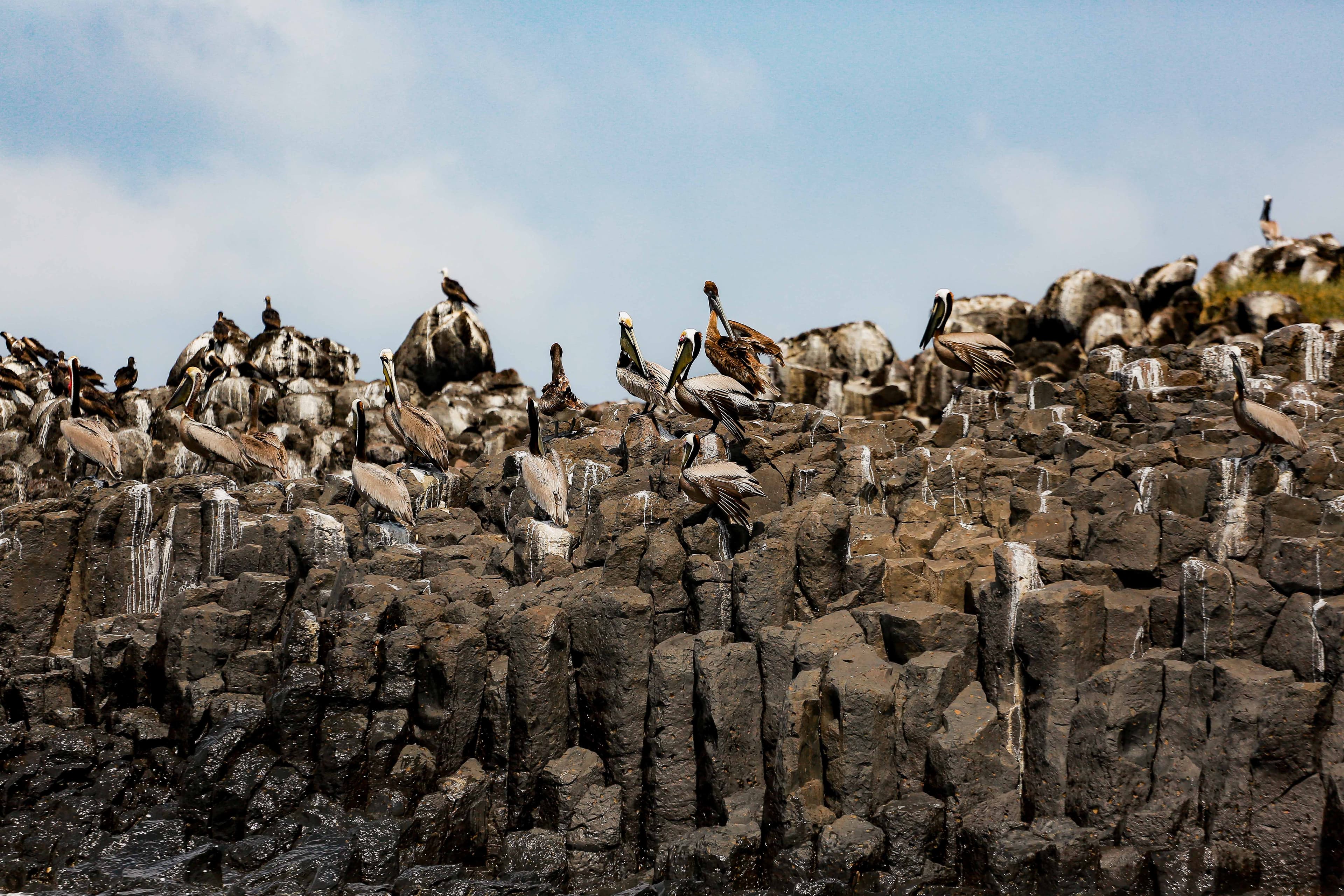 Reconnect with Nature: Unwind and Rejuvenate - Image 9