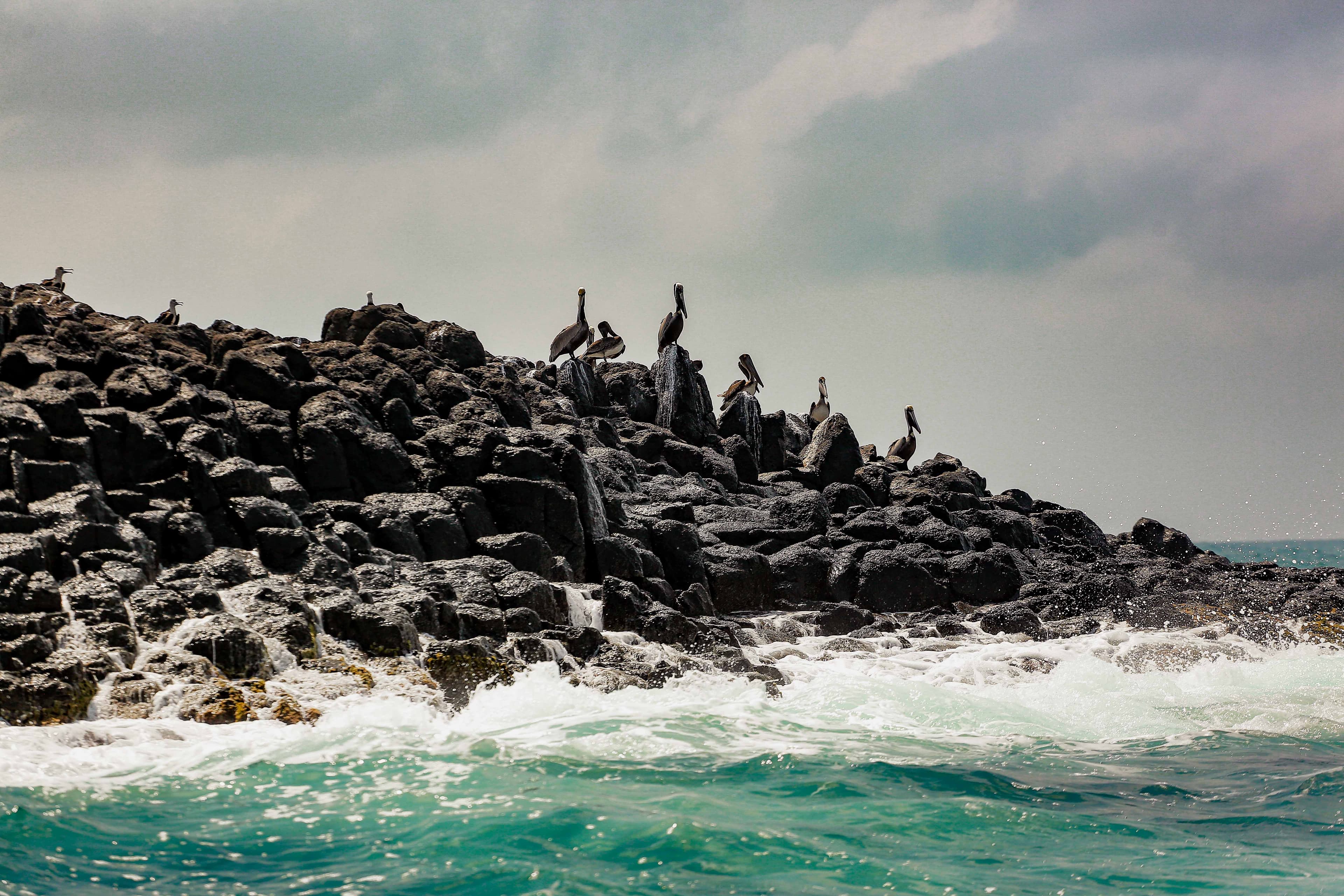 Reconnect with Nature: Unwind and Rejuvenate - Image 4