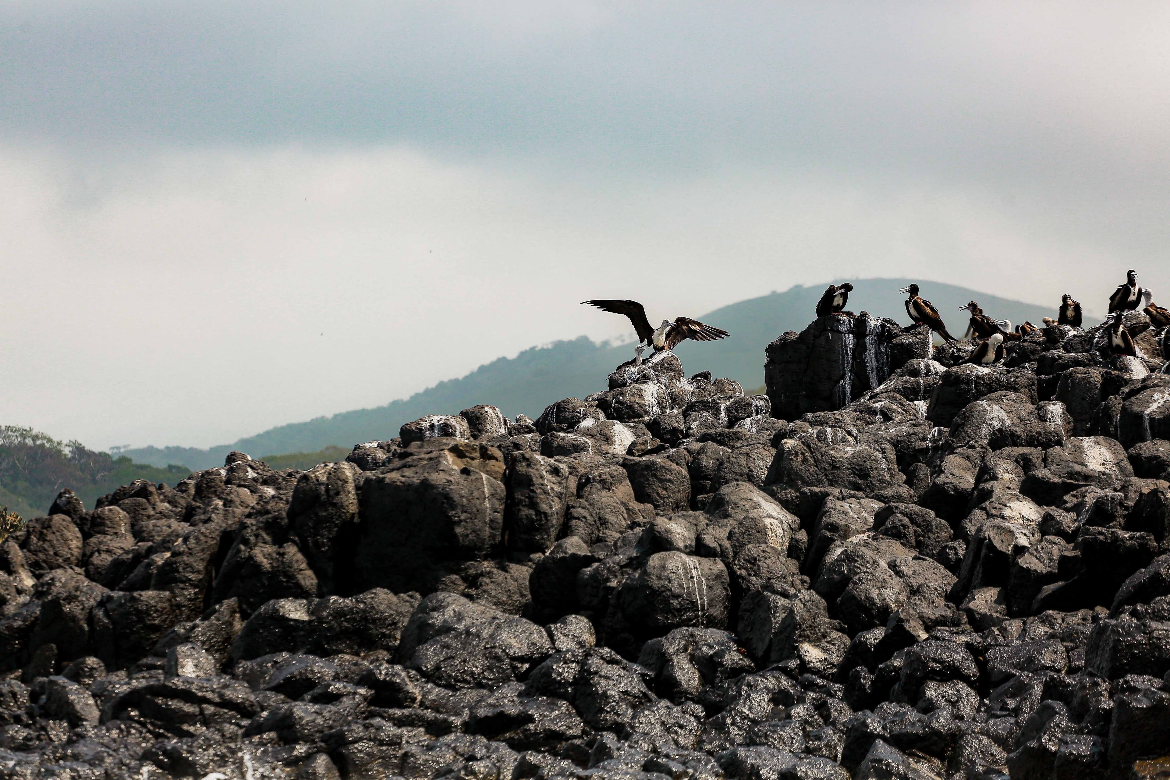 Reconnect with Nature: Unwind and Rejuvenate - Image 8