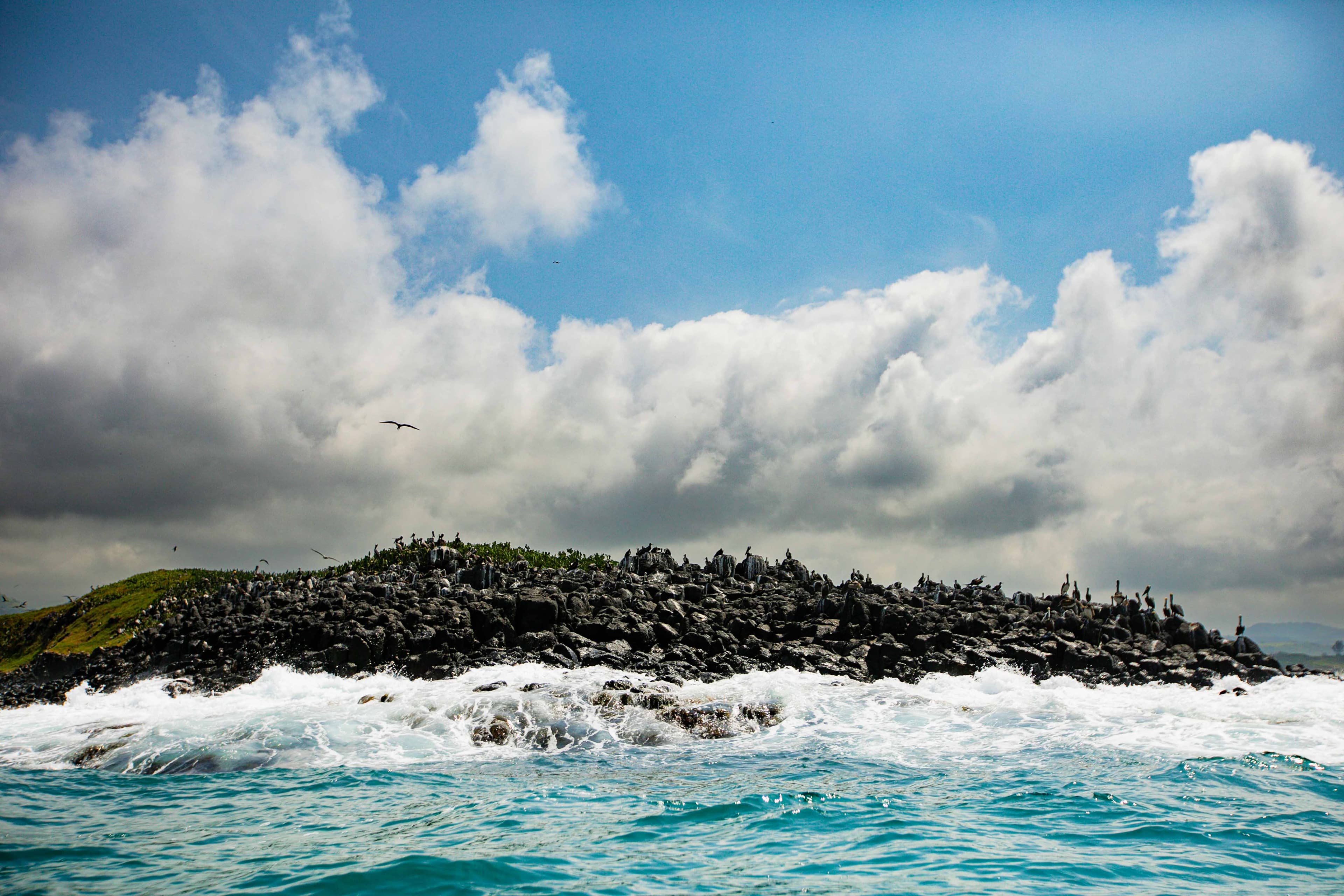 Reconnect with Nature: Unwind and Rejuvenate - Image 1