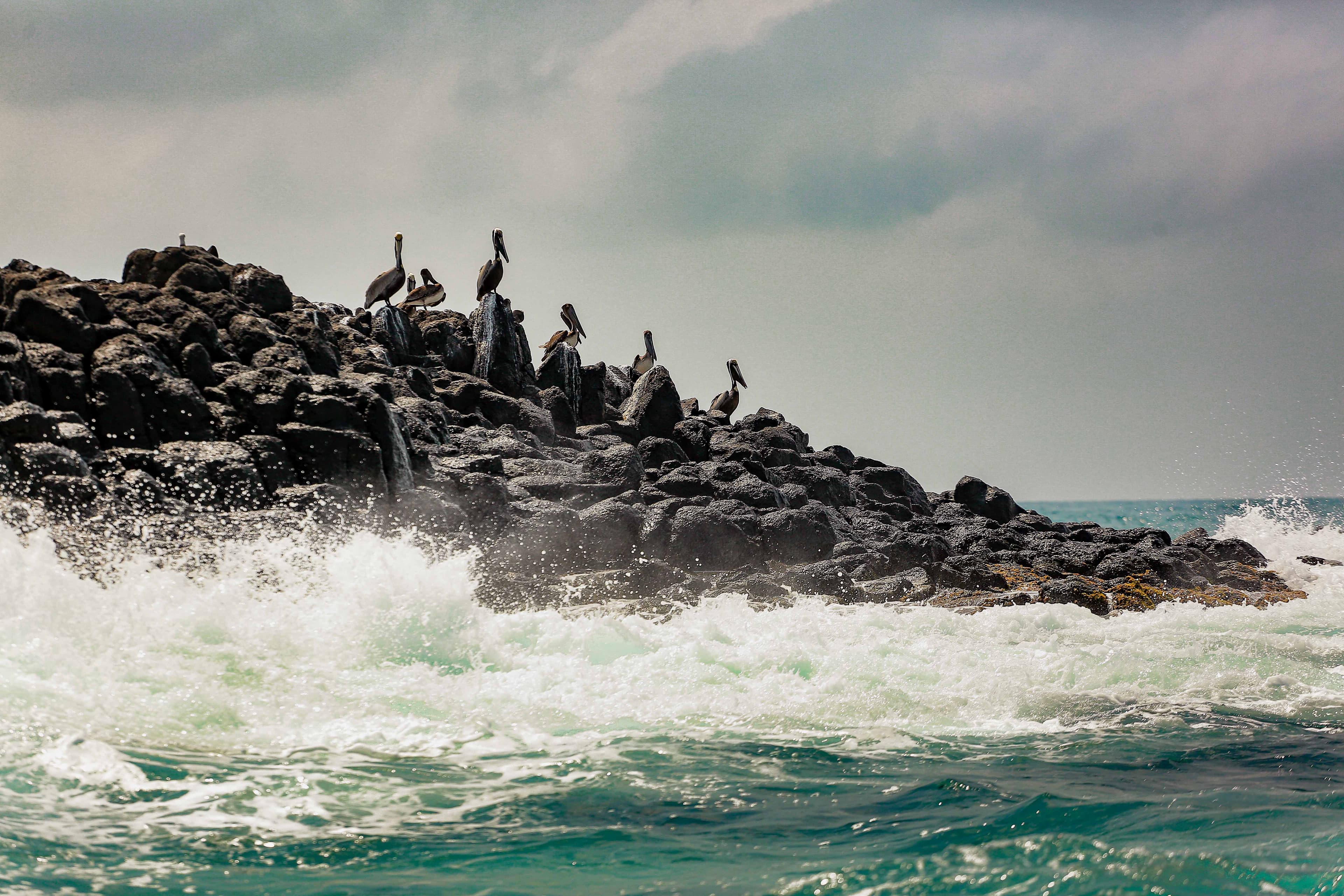 Reconnect with Nature: Unwind and Rejuvenate - Image 5